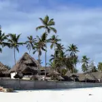Viaggio a Zanzibar